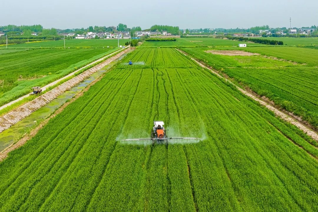守护粮食安全的“金钥匙”——南京农业科技七大转型促发展纪实