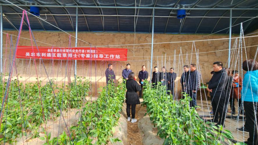 推广体系改革与建设为抓手,通过创建全国首批农业科技现代化先行县